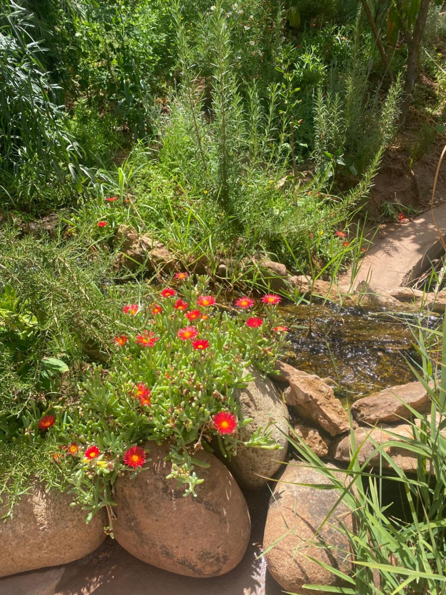Jardin Sakina - Chambre D'Hotes Oulad Moumene ภายนอก รูปภาพ