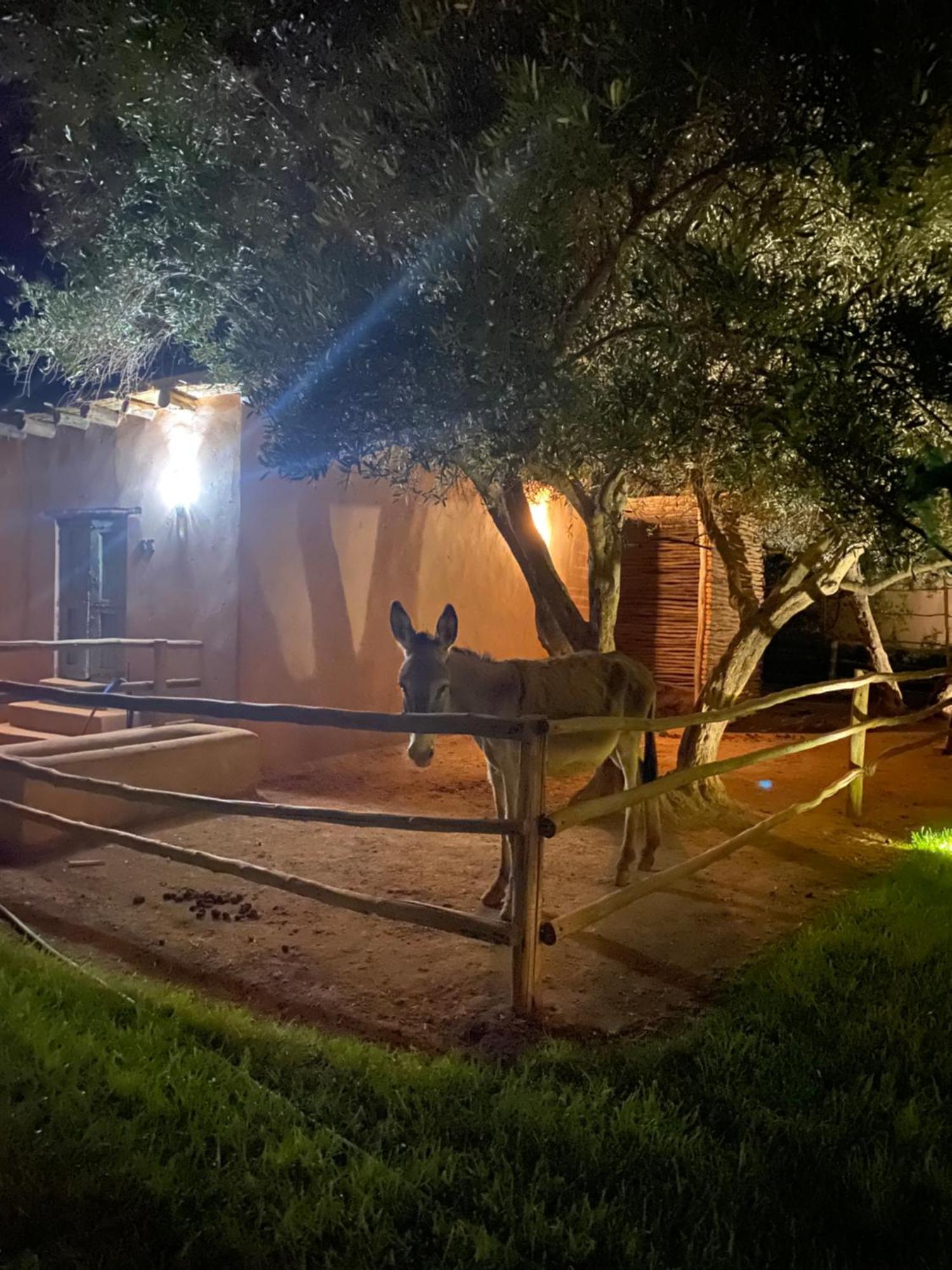 Jardin Sakina - Chambre D'Hotes Oulad Moumene ภายนอก รูปภาพ