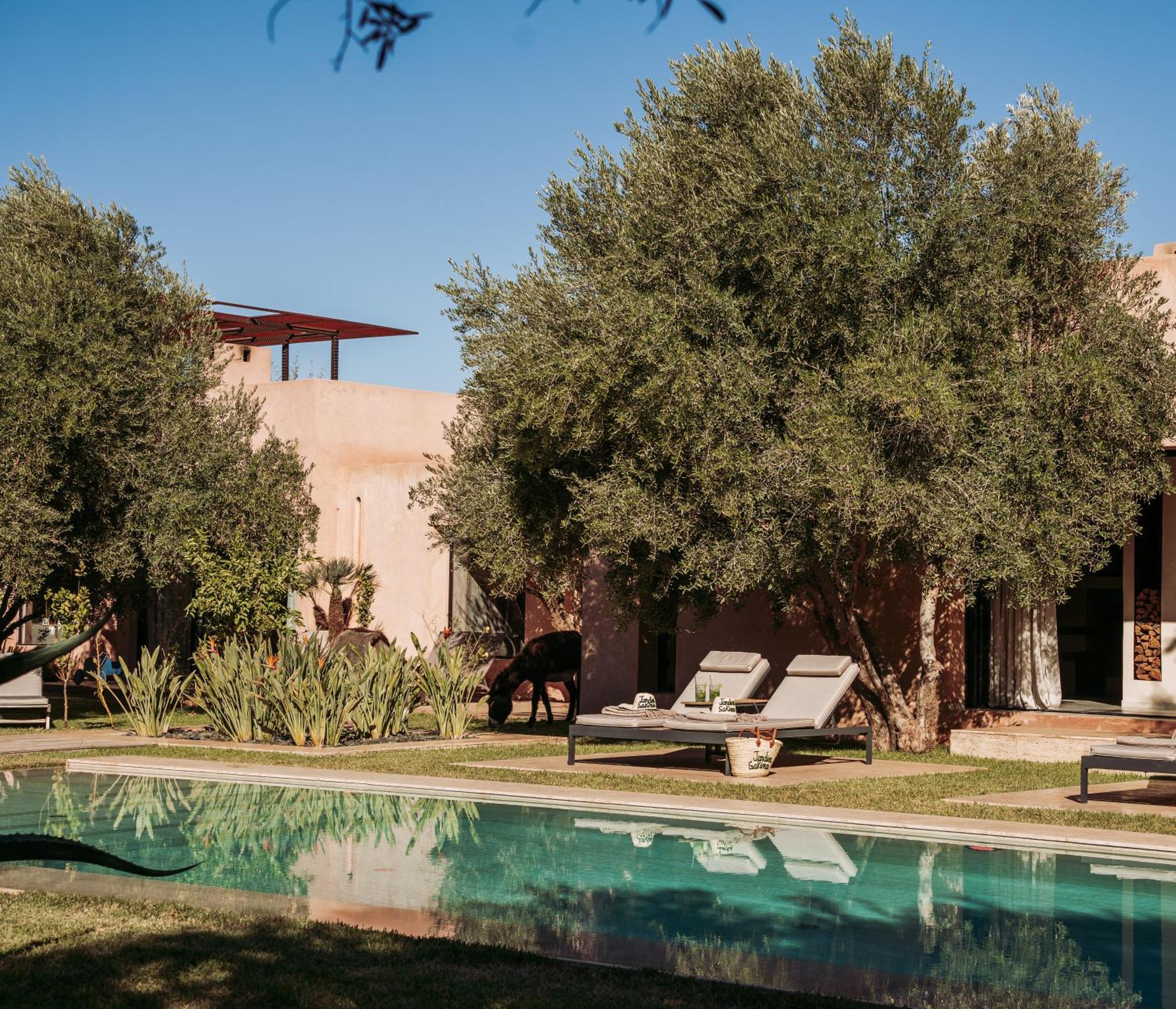 Jardin Sakina - Chambre D'Hotes Oulad Moumene ภายนอก รูปภาพ